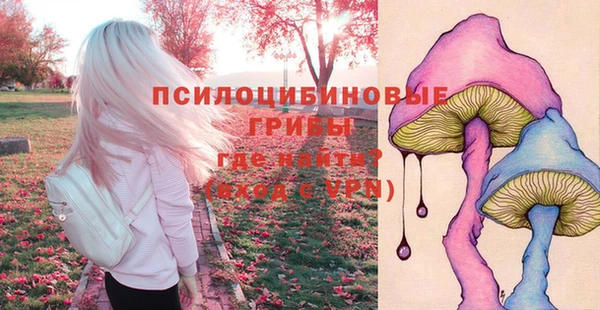 мдма Горняк