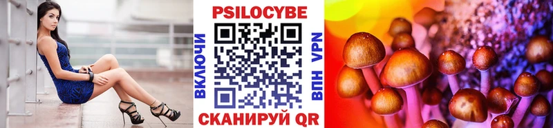 кракен ССЫЛКА  Бердск  Псилоцибиновые грибы Magic Shrooms 